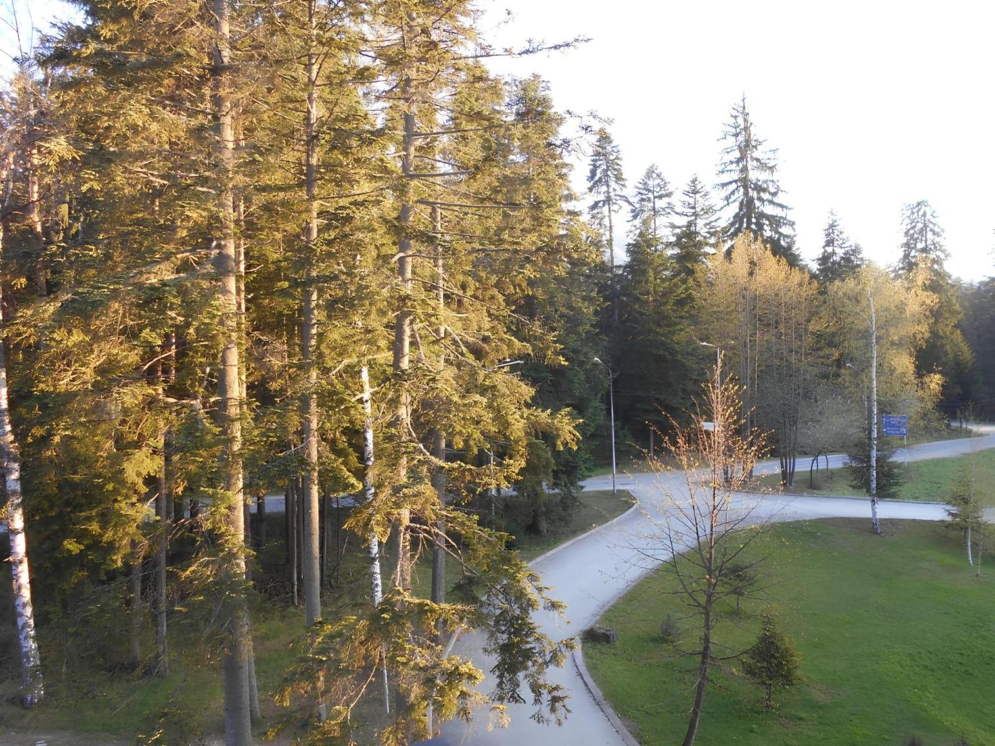 Neat Studios In "Borovets Gardens" Hotel Екстериор снимка